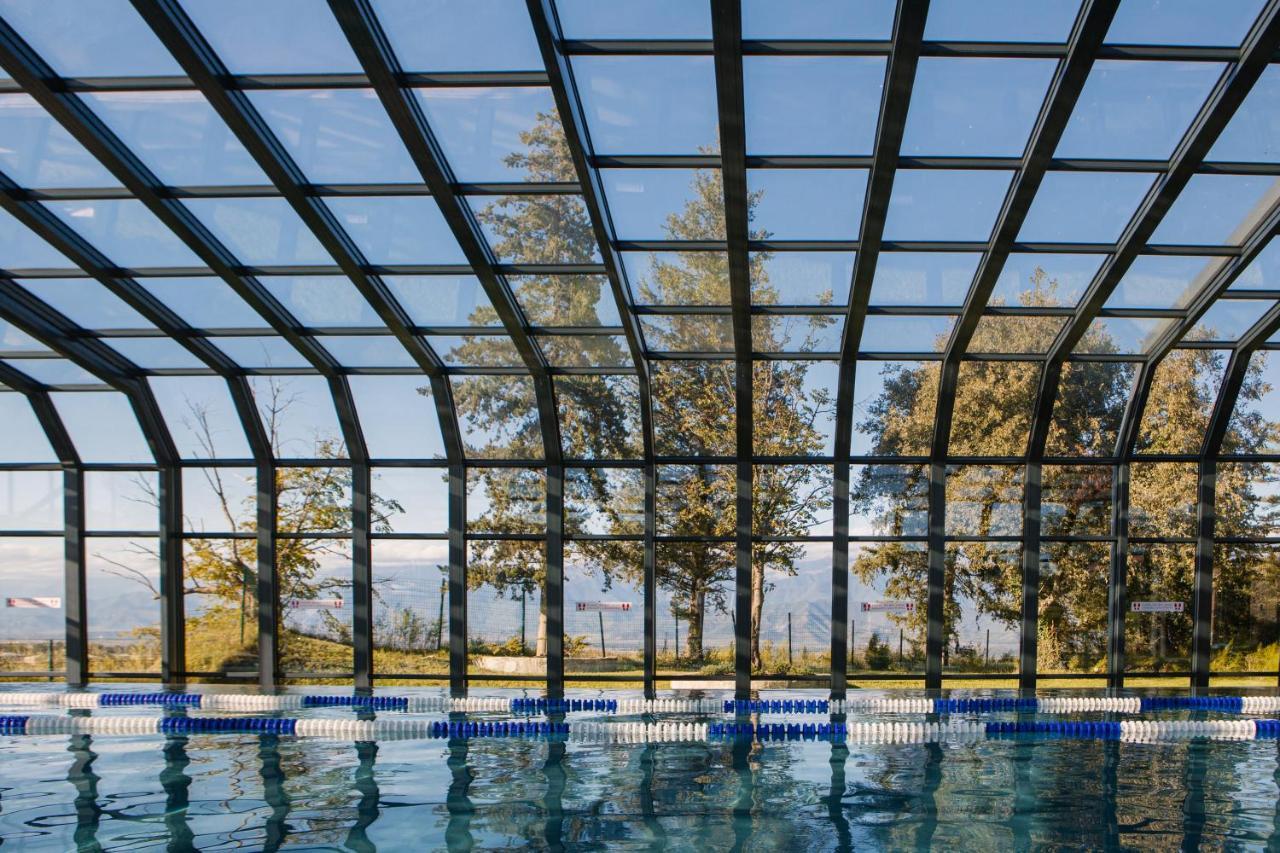 Tsinandali Estate, A Radisson Collection Hotel المظهر الخارجي الصورة Swimming pool with a retractable roof