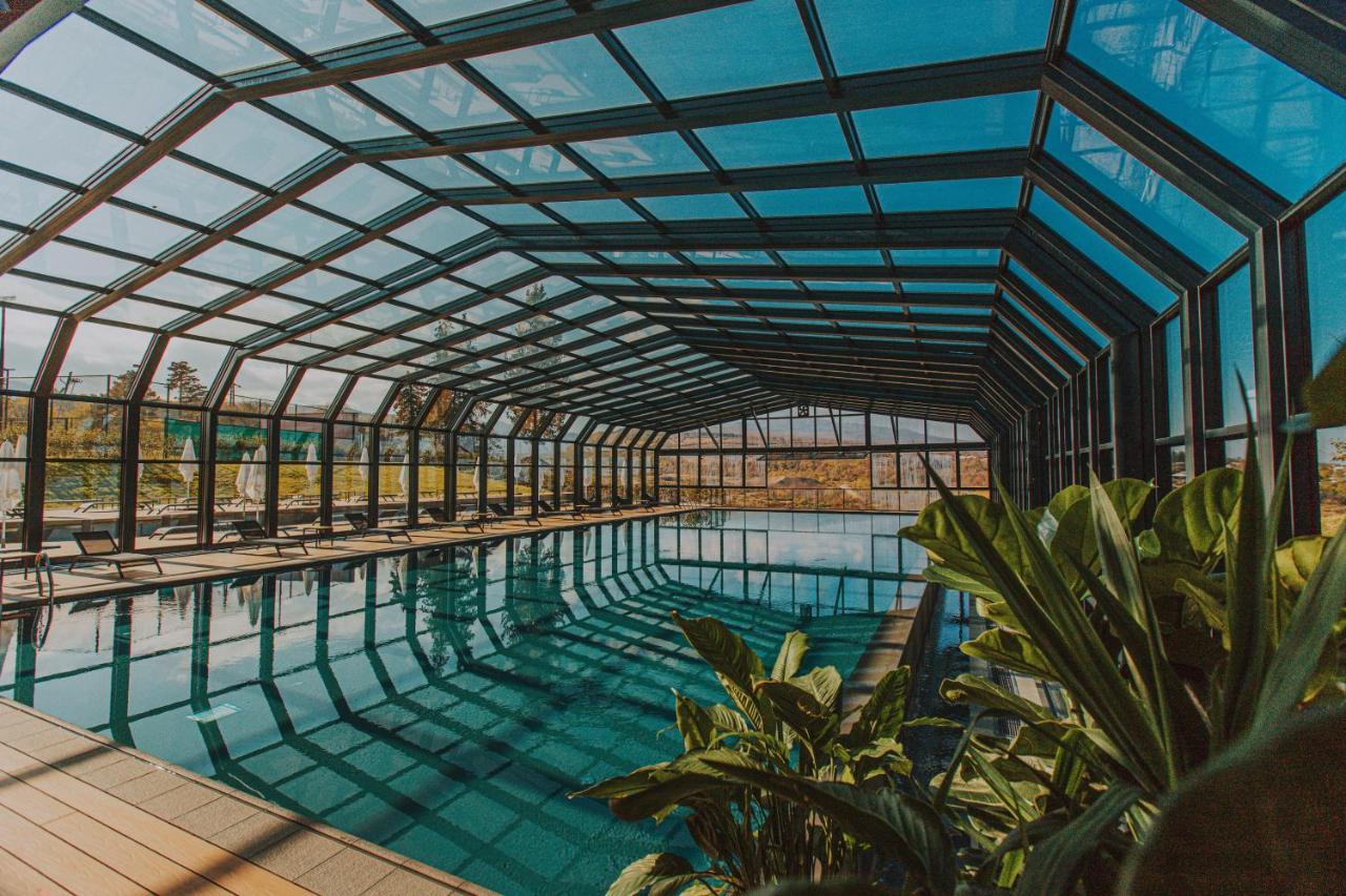 Tsinandali Estate, A Radisson Collection Hotel المظهر الخارجي الصورة Swimming pool at the hotel